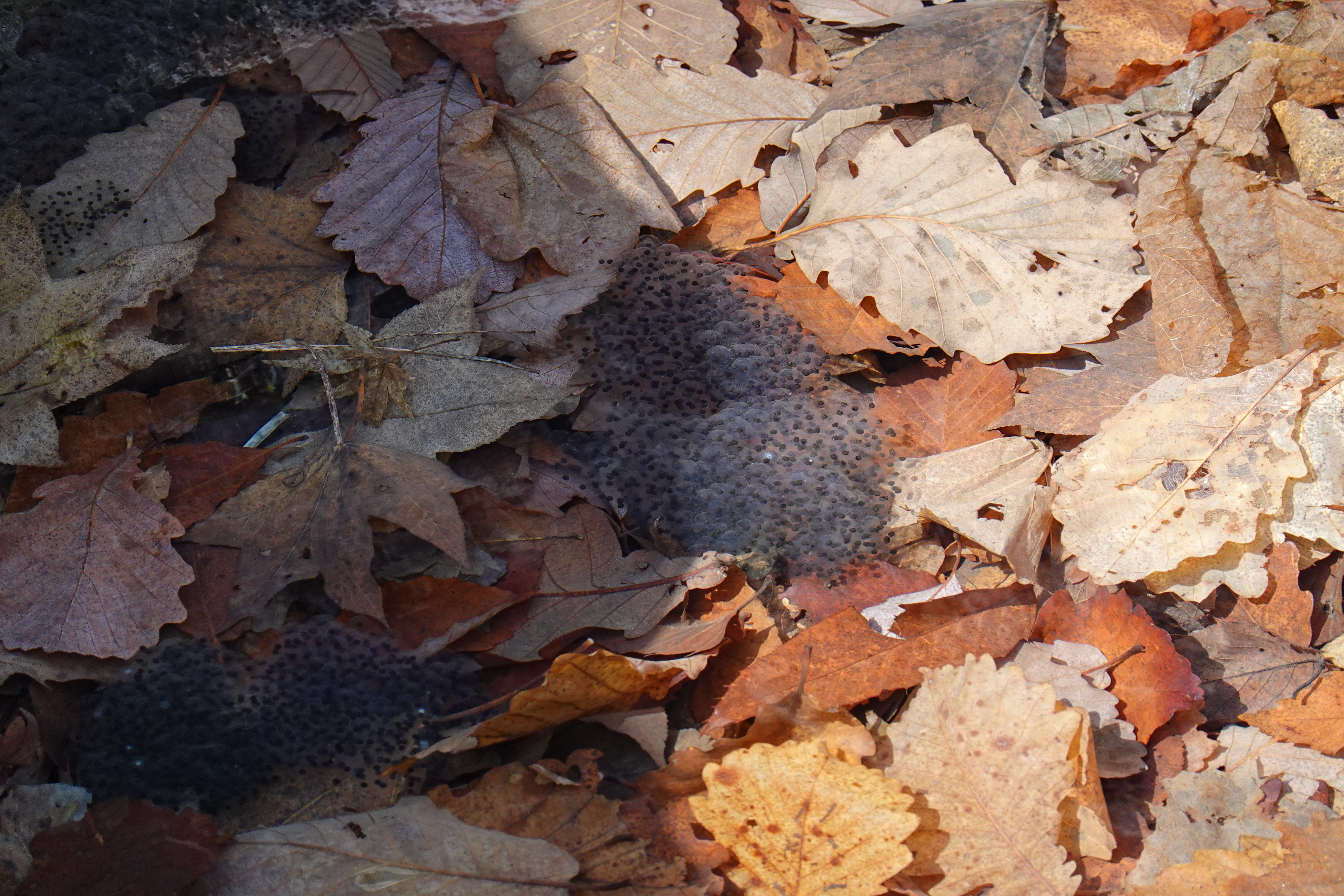 2022 상반기 직원연수 -6.JPG