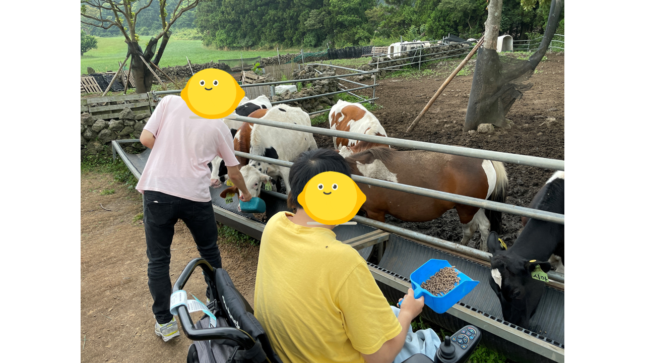 2022.06.11 주택 힐링in제주 7.PNG